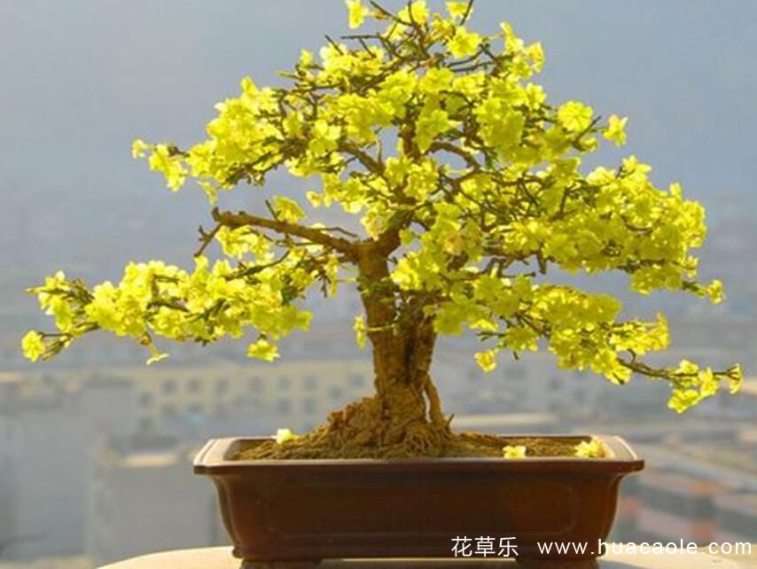 诸天纪动漫欧美自拍影视在线观看，破界之旅，开启宇宙的壮丽史诗